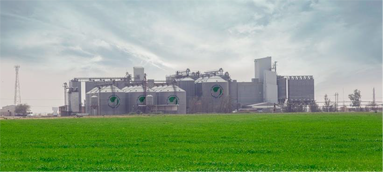 Al Watania Poultry
